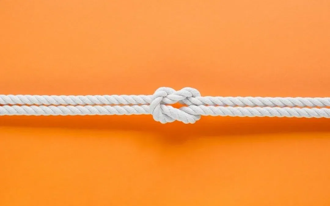 Building Links: How to Get (Free) Backlinks for Your Website
